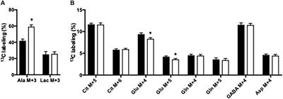 Glutamate Dehydrogenase Is Important for Ammonia Fixation and Amino Acid Homeostasis in Brain During Hyperammonemia